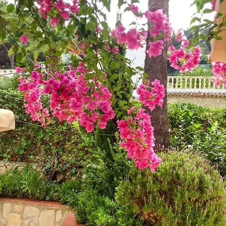 Dolce Casa N41 3* סבוקה